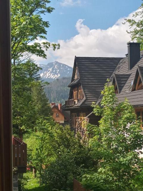 Apartament Antolka 扎科帕内 外观 照片