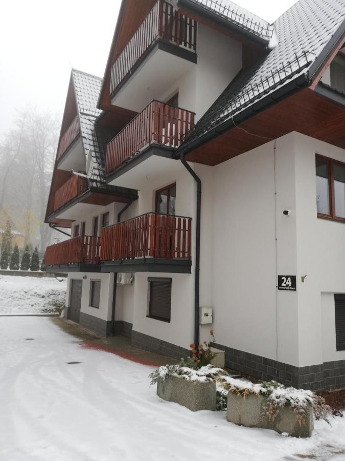 Apartament Antolka 扎科帕内 外观 照片