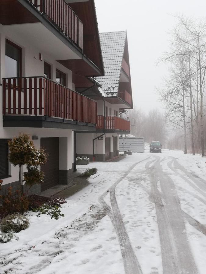 Apartament Antolka 扎科帕内 外观 照片